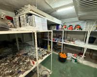 Resale - Country House - Crevillente - CrevillenteAlicanteValenciaSpain