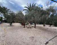 Resale - Country House - Crevillente - CrevillenteAlicanteValenciaSpain