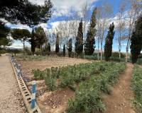 Resale - Country House - Crevillente - CrevillenteAlicanteValenciaSpain