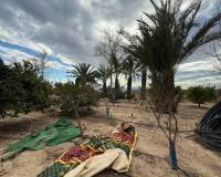 Resale - Country House - Crevillente - CrevillenteAlicanteValenciaSpain