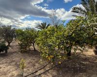 Resale - Country House - Crevillente - CrevillenteAlicanteValenciaSpain