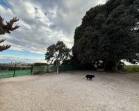 Resale - Country House - Crevillente - CrevillenteAlicanteValenciaSpain