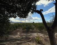 Resale - Country House - Crevillente - CrevillenteAlicanteValenciaSpain