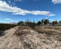 Resale - Country House - Crevillente - CrevillenteAlicanteValenciaSpain