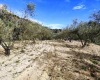 Resale - Country House - Gaianes