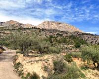 Resale - Country House - Gaianes