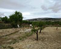 Resale - Country House - Gorga