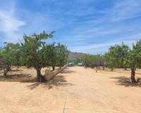 Resale - Country House - Hondon - Hondon de Las Nieves