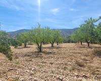 Resale - Country House - Hondon - Hondon de Las Nieves