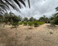 Resale - Country House - Matola - MatolaAlicanteValenciaSpain