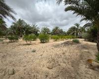 Resale - Country House - Matola - MatolaAlicanteValenciaSpain