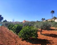 Resale - Country House - Ontinyent