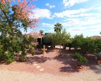 Resale - Country House - Orihuela - La Campaneta