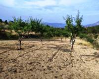 Resale - Country House - Penaguila - Penáguila