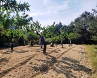 Resale - Country House - Penaguila - Penáguila