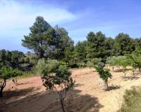 Resale - Country House - Penaguila - Penáguila