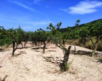 Resale - Country House - Penaguila - Penáguila