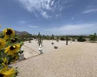 Resale - Country House - Rafal - RafalAlicanteValenciaSpain