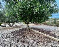 Resale - Country House - San Fulgencio - San Fulgencio - Country