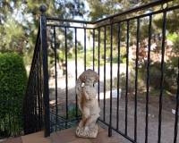 Resale - Detached house - Daya Nueva