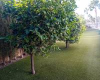 Resale - Detached Villa - Algorfa - La Finca Golf Resort