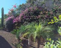 Resale - Detached Villa - Algorfa - La Finca Golf Resort