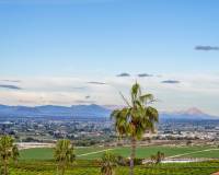 Resale - Detached Villa - Algorfa - Lomas de La Juliana