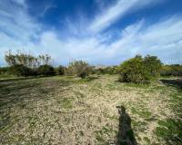 Resale - Detached Villa - Benejuzar - Comunidad Valenciana