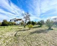 Resale - Detached Villa - Benejuzar - Comunidad Valenciana