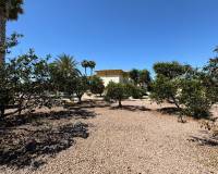 Resale - Detached Villa - Catral - CatralAlicanteValenciaSpain