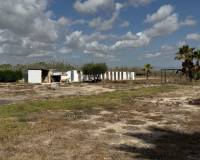 Resale - Detached Villa - Catral - CatralAlicanteValenciaSpain