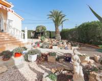 Resale - Detached Villa - Ciudad Quesada - Ciudad Quesada - Town