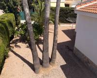 Resale - Detached Villa - Ciudad Quesada - Ciudad Quesada - Town