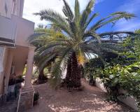 Resale - Detached Villa - Ciudad Quesada - Lo Pepin