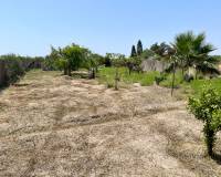 Resale - Detached Villa - Daya Nueva