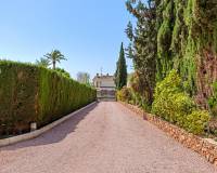 Resale - Detached Villa - Elche/Elx