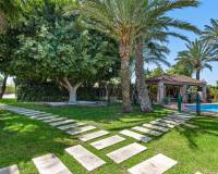 Resale - Detached Villa - Elche/Elx