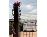 Resale - Detached Villa - Fortuna