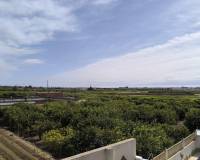 Resale - Detached Villa - Guardamar Del Segura - El Raso