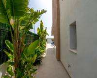 Resale - Detached Villa - Guardamar Del Segura - El Raso