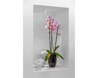 Resale - Detached Villa - Guardamar Del Segura - Guardamar del Segura - Town