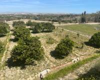 Resale - Detached Villa - Guardamar Del Segura - Valencian Community