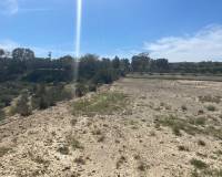 Resale - Detached Villa - Guardamar Del Segura - Valencian Community