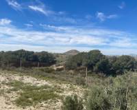 Resale - Detached Villa - Guardamar Del Segura - Valencian Community