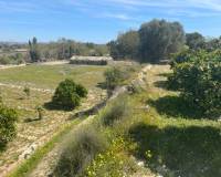 Resale - Detached Villa - Guardamar Del Segura - Valencian Community