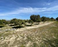 Resale - Detached Villa - Guardamar Del Segura - Valencian Community