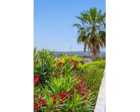 Resale - Detached Villa - La Marina - La Marina - Urbanization