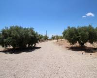 Resale - Detached Villa - Macisvenda