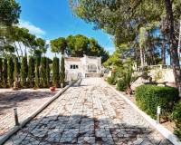 Resale - Detached Villa - Pinar de Campoverde - Pinar de Campoverde - Village