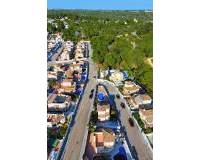 Resale - Detached Villa - Pinar de Campoverde - Pinar de Campoverde - Village